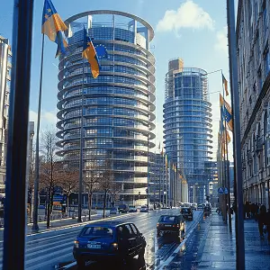 虫禾字笔顺怎么写，正确写法详解