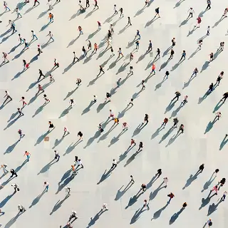 人情和法律相矛盾吗为什么