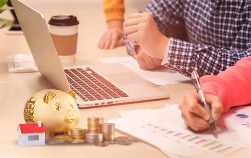 养剃刀龟需要什么法律风险