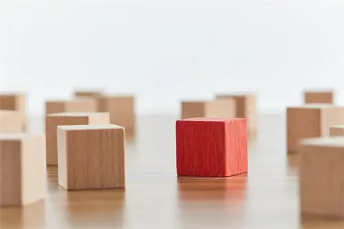 环境管理者代表法律什么